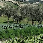 Casale San Martino Bio Farm stay