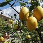 Casale San Martino Bio Farm stay Sant'Angelo in Pontano