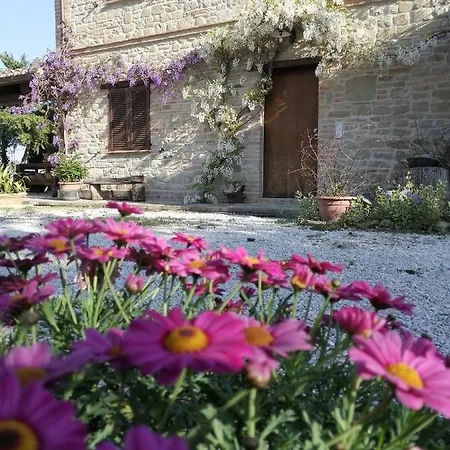 Feriegård Casale San Martino Bio