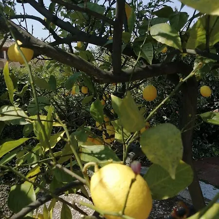 Gospodarstwo agroturystyczne Casale San Martino Bio *