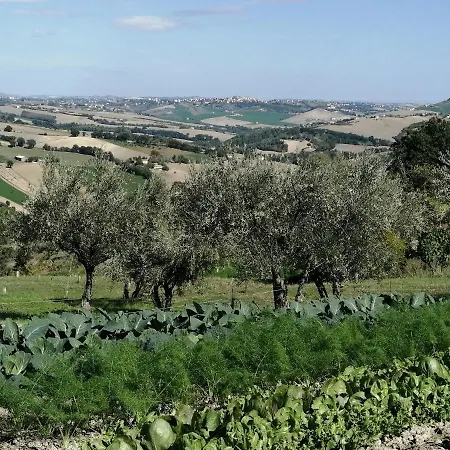 Casale San Martino Bio