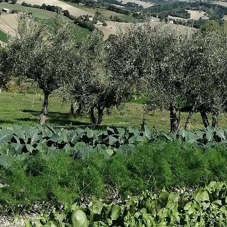 Casale San Martino Bio Alojamento de Turismo Rural