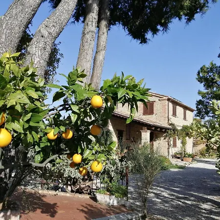 ファームステイ Casale San Martino Bio Sant'Angelo in Pontano