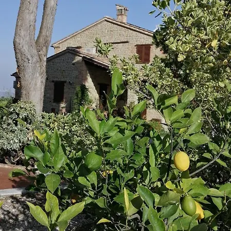 Casale San Martino Bio Feriegård *