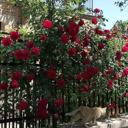 Casale San Martino Bio