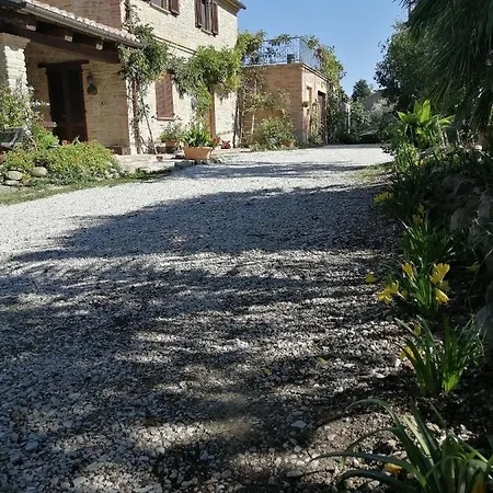 Casale San Martino Bio Sant'Angelo in Pontano