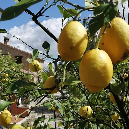 Casale San Martino Bio Feriegård Sant'Angelo in Pontano