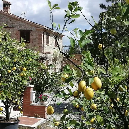 Casale San Martino Bio ファームステイ Sant'Angelo in Pontano