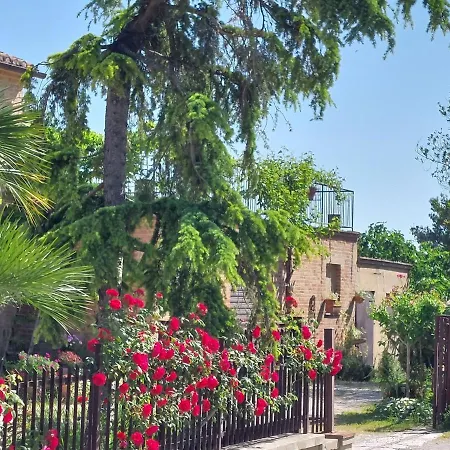 Casale San Martino Bio *