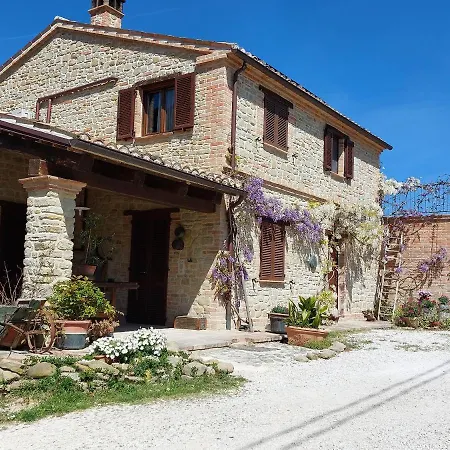 Casale San Martino Bio Feriegård Sant'Angelo in Pontano