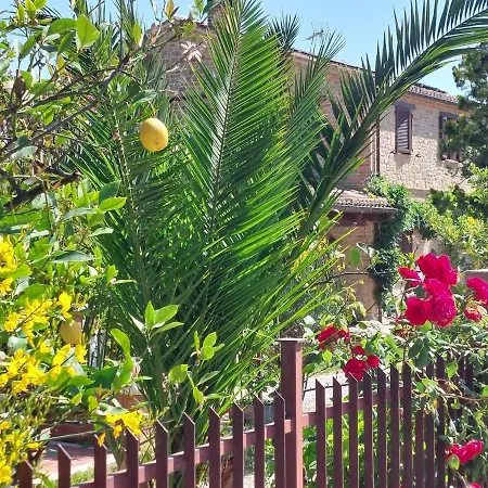 Casale San Martino Bio