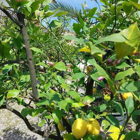 Casale San Martino Bio * Sant'Angelo in Pontano