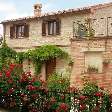 Casale San Martino Bio *